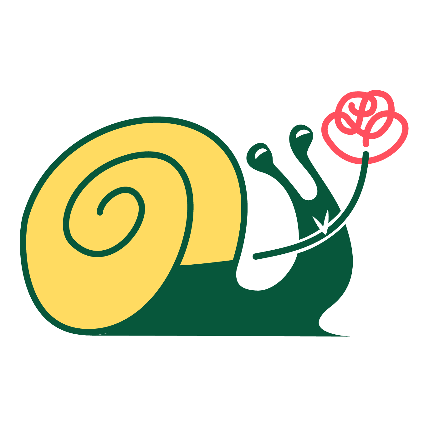 Caracol DSA
